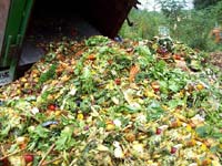 compost-raw-material